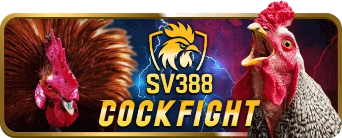 Cá cược Thể Thao Nbet88