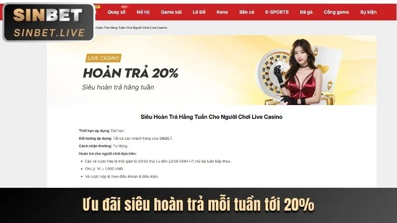 Ưu Đãi Hoàn Trả Hàng Ngày nbet88